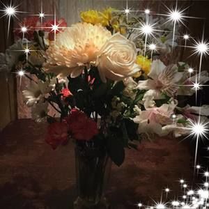 Meet your Posher, Rhonda